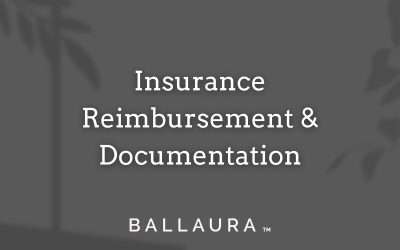 Insurance Reimbursement & Documentation
